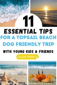 topsail beach dog friendly